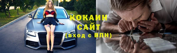 apvp Няндома