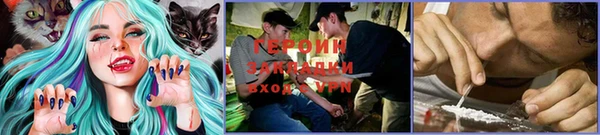 apvp Няндома