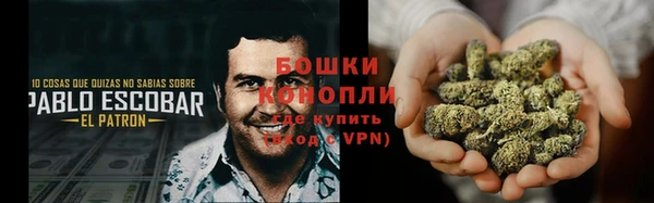 apvp Няндома