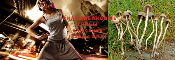 таблы Мегион