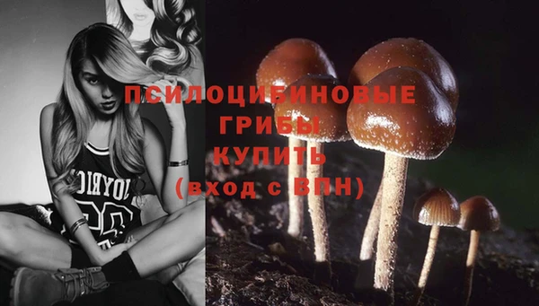 кокаин перу Медногорск