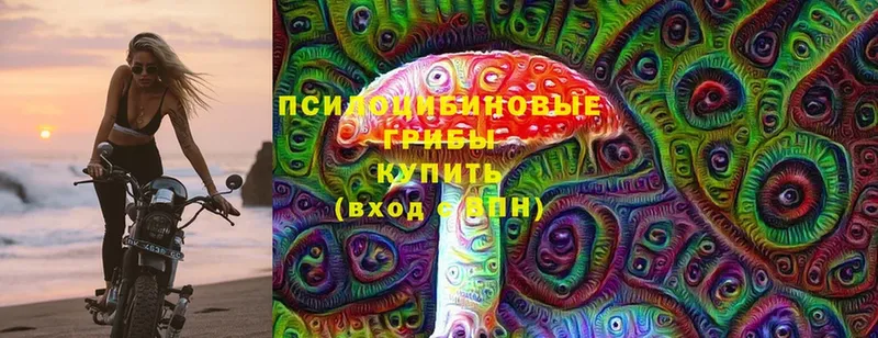 Галлюциногенные грибы GOLDEN TEACHER  Адыгейск 
